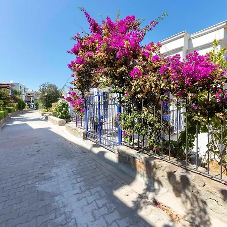 Lovely House With Captivating View In Gumusluk, Bodrum 규무슬럭